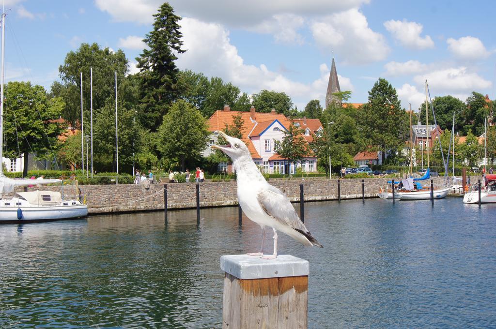 Ostsee Ferienhaeuser Waabs Room photo
